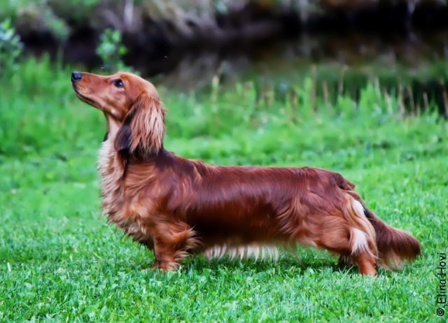 Ulkoiluiltapäivä 240513